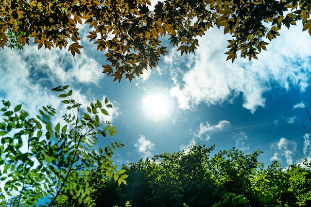 Daylight exposure