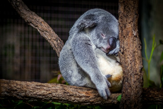 Shorten the time to fall asleep