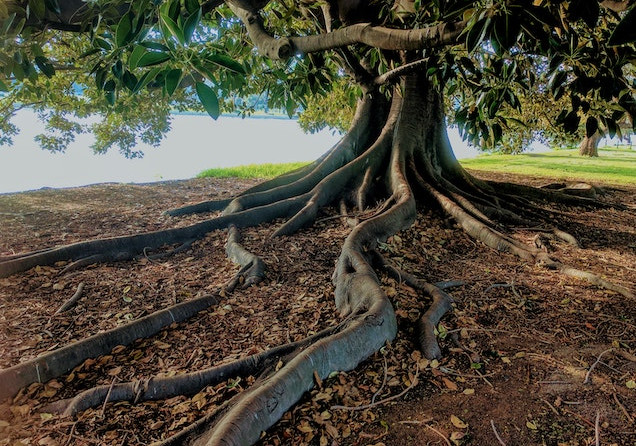 Grounding