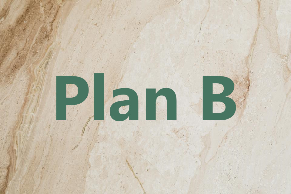 Have a plan B